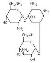 File:Tobramycin ophth structure.png