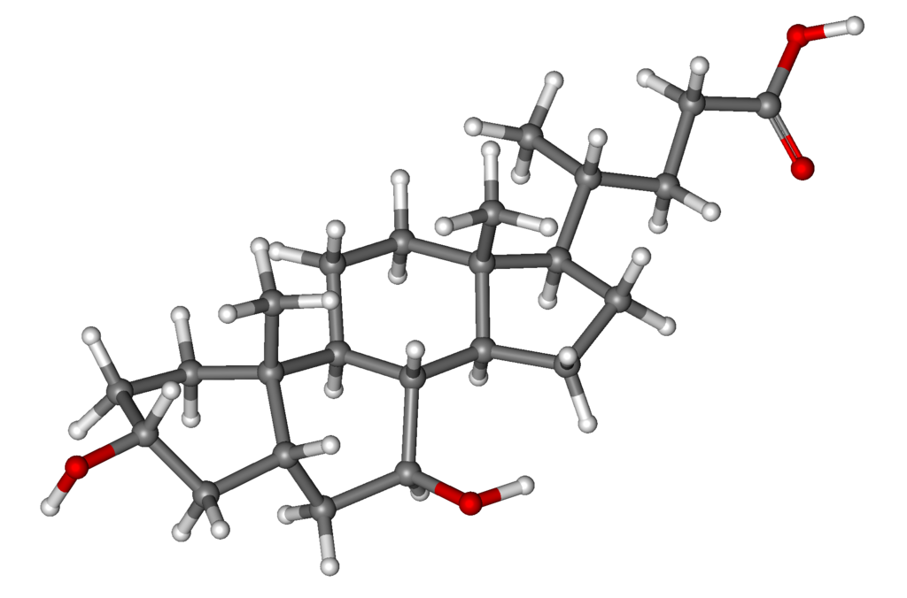 File:Ursodeoxycholic acid ball-and-stick.png