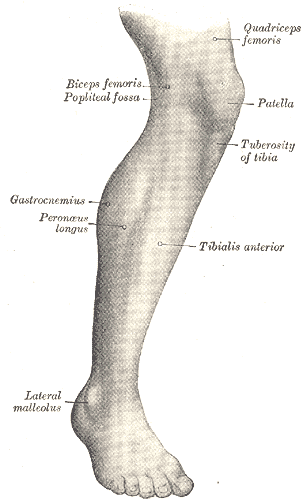 Lateral aspect of right leg.