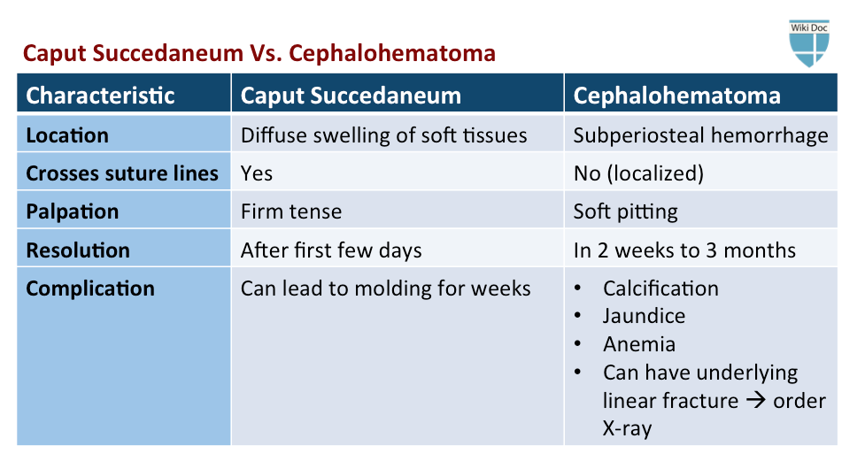 File:Caput succedaneum vs Cephalohematoma.png