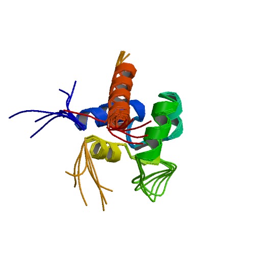 File:PBB Protein ACTN2 image.jpg