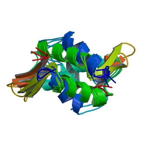 File:PBB Protein HIST1H1B image.jpg