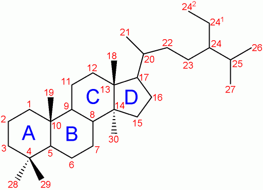 File:Steroid-nomenclature.png