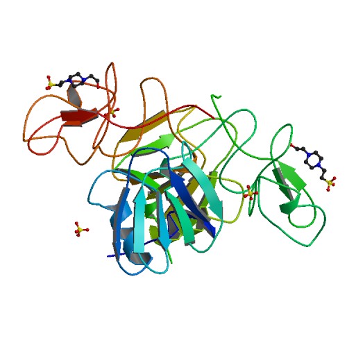 File:PBB Protein HGF image.jpg