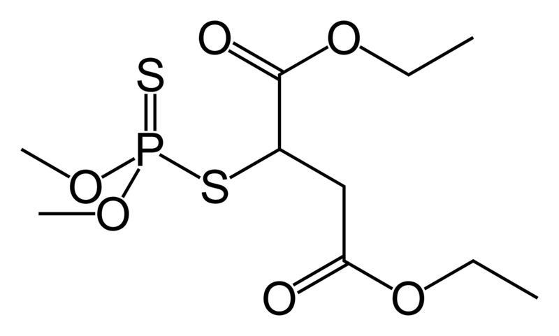 Chemical structure of Malathion