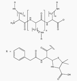 File:Benzylpinicilloyl Wiki str.png