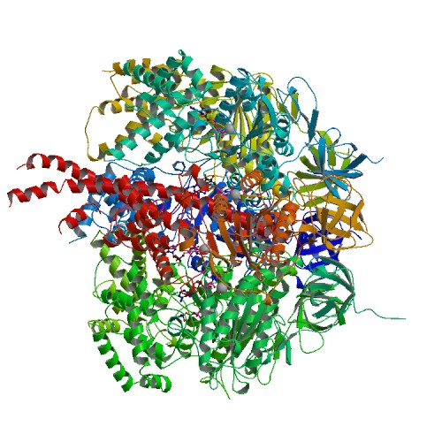 File:PBB Protein ATP5A1 image.jpg