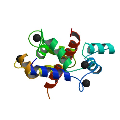 File:PBB Protein RYR1 image.jpg