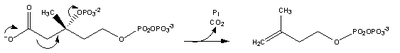File:Cholesterol-Synthesis-Reaction6.png