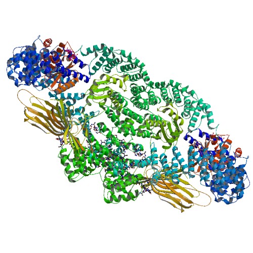File:PBB Protein AP2S1 image.jpg