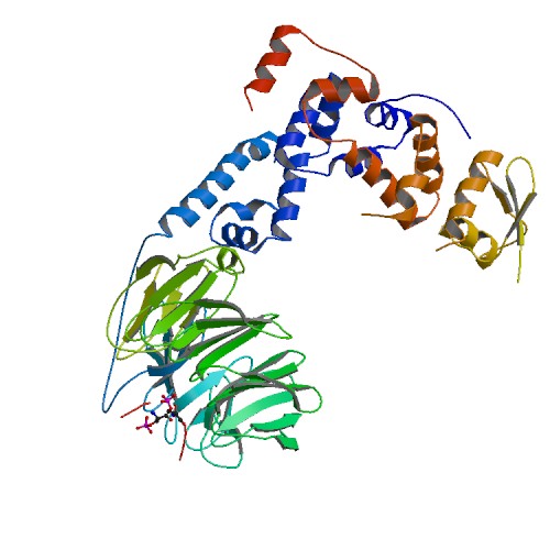 File:PBB Protein BTRC image.jpg