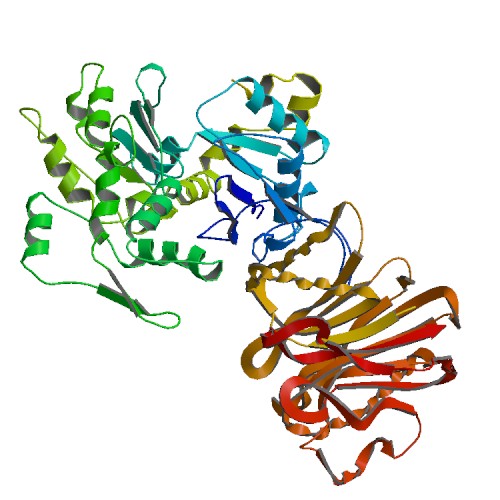 File:PBB Protein ACTA1 image.jpg