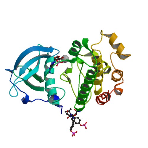 File:PBB Protein KIT image.jpg