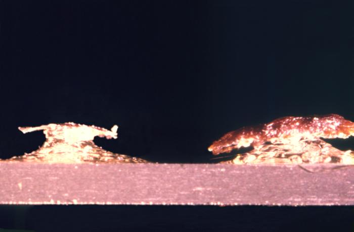 This is a chickenpox scab (left), and smallpox scab (right) viewed in profile as a demonstration in comparative morphology. Adapted from Public Health Image Library (PHIL), Centers for Disease Control and Prevention.[14]