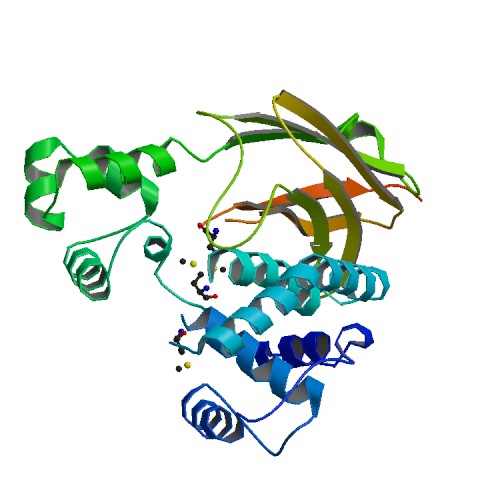 File:PBB Protein ASCC3L1 image.jpg