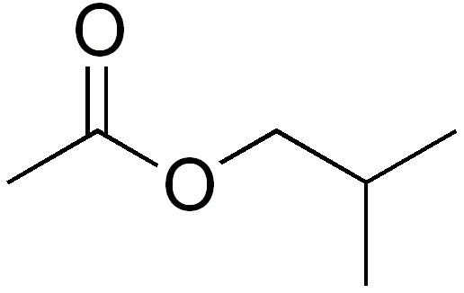 isobutyl acetate