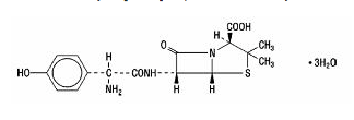 File:Amoxicilin Structure.png