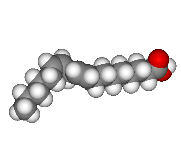 3D representation of linoleic acid in a bent conformation.