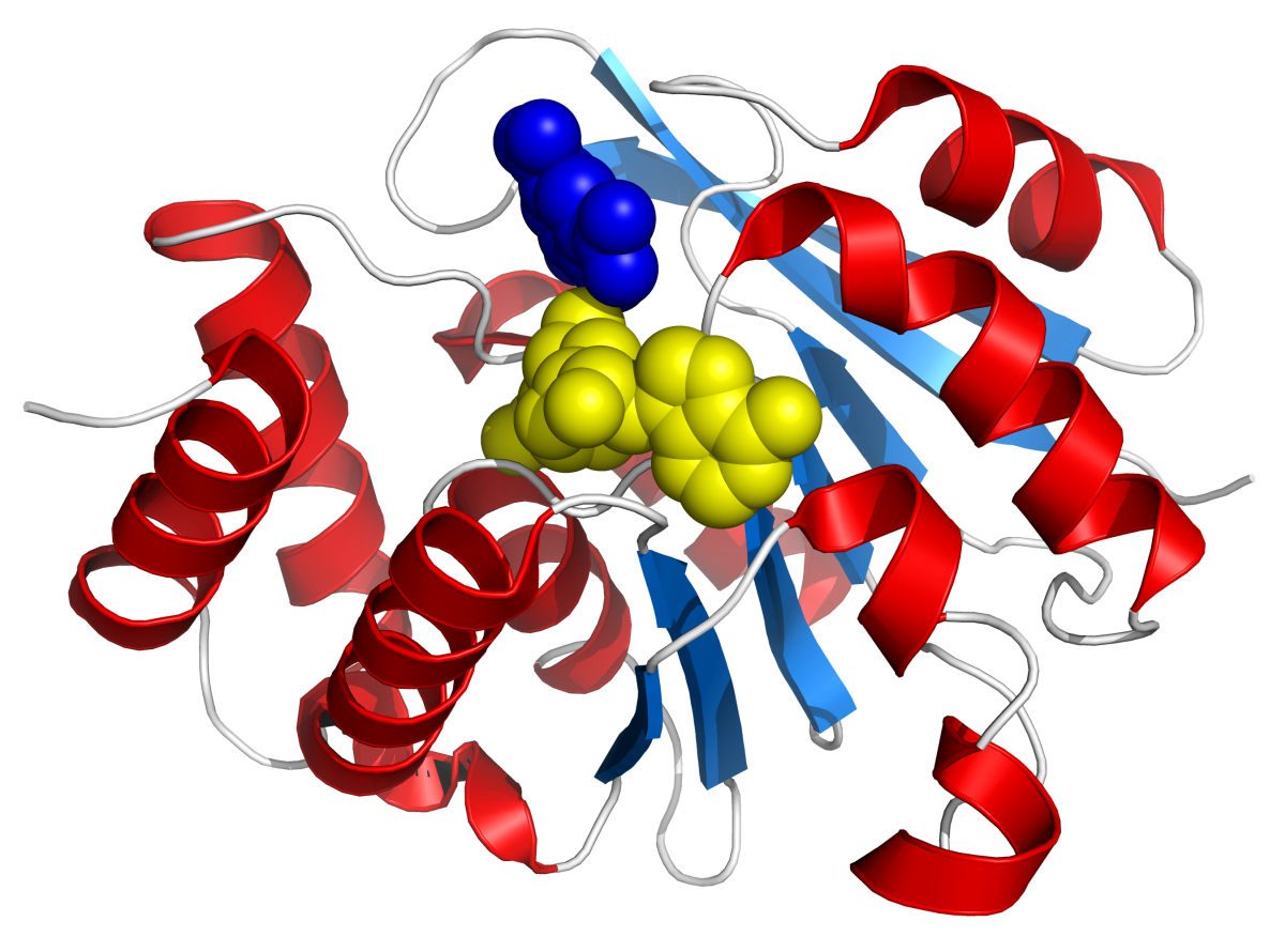 File:Catechol-O-methyl transferase 3bwm.png