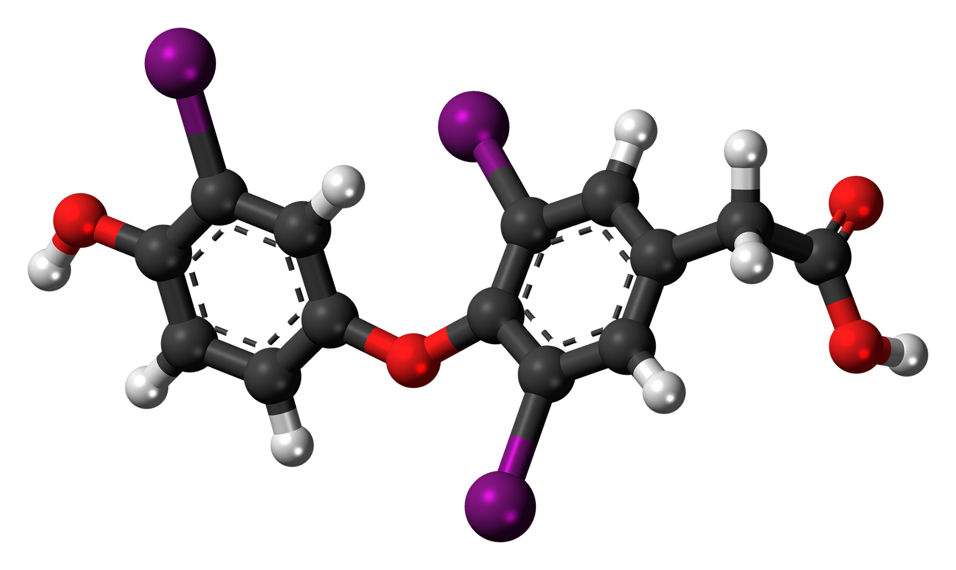 Ball-and-stick model of the tiratricol molecule