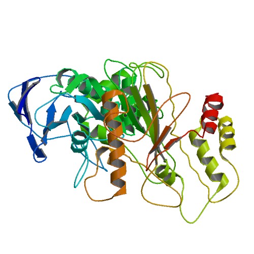 File:PBB Protein CEL image.jpg