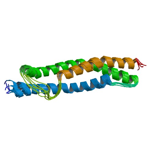 File:PBB Protein ACTN4 image.jpg