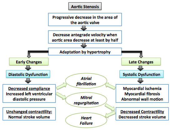 Pathophysiology of aortic stenosis
