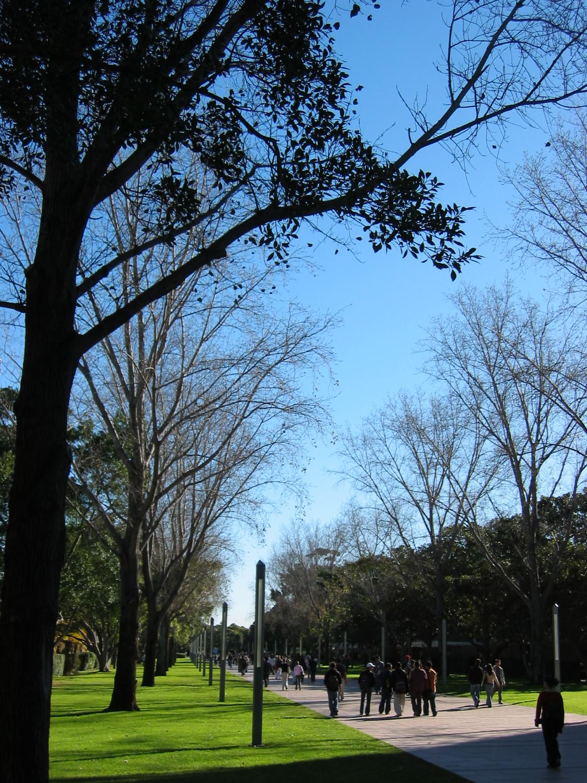 Main walkway on lower campus