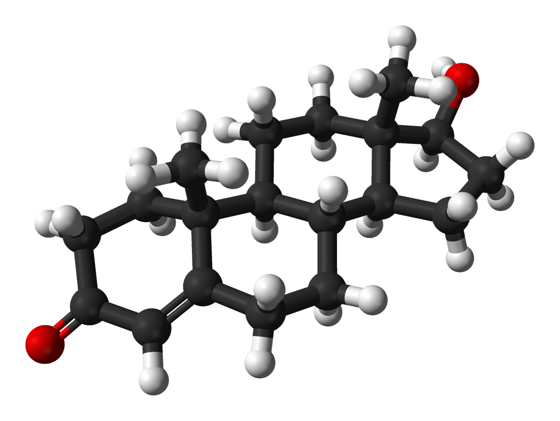 File:Testosterone-from-xtal-3D-balls.png