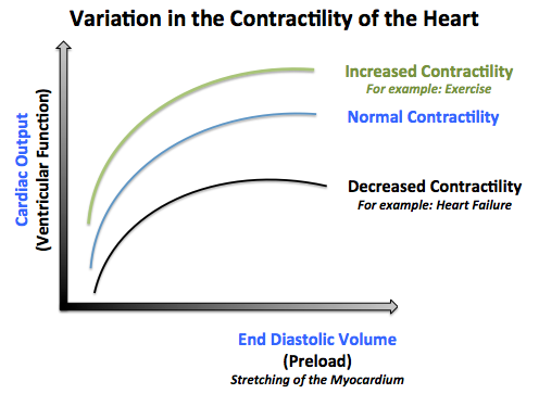 File:Variation in the Contractility of the Heart.png
