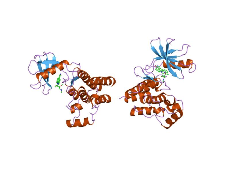 1sm2: Crystal structure of the phosphorylated Interleukin-2 tyrosine kinase catalytic domain