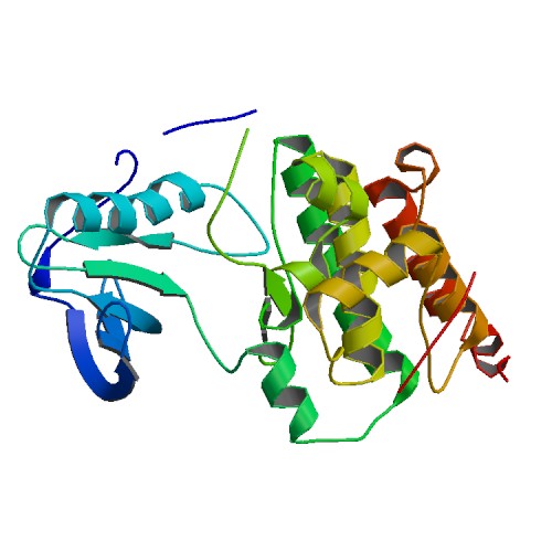 File:PBB Protein EPHA3 image.jpg