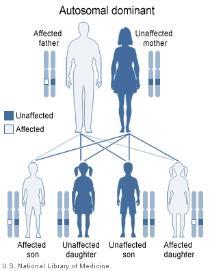 Waardenburg syndrome is usually inherited in an autosomal dominant pattern.