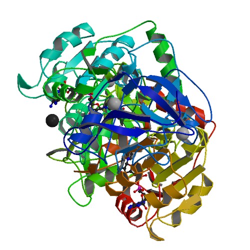 File:PBB Protein ADH1A image.jpg