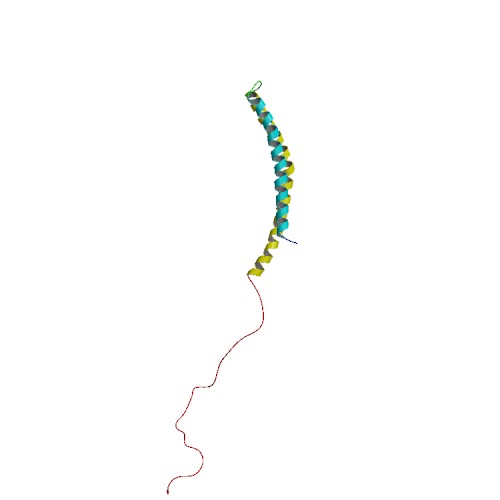 File:PBB Protein SNCA image.jpg