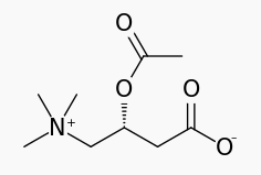 File:Acetylcarnitine Wiki Str.png