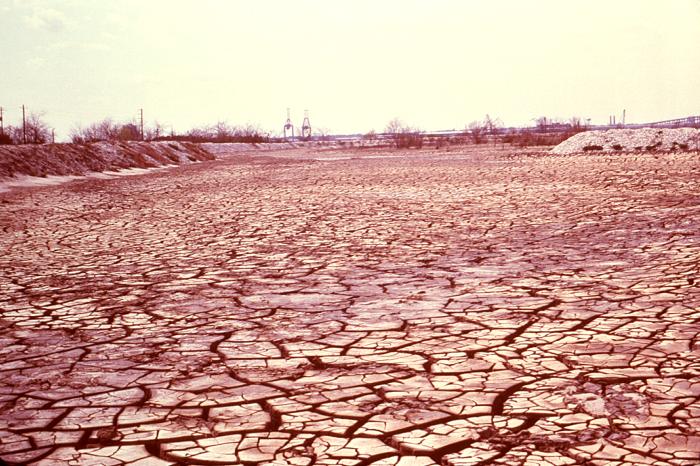 This 1978 photograph depicted the cracked surface of dredged spoils deposits, which when wet, became the oviposition, and breeding site for a population of Aedes sollicitans mosquitoes. From Public Health Image Library (PHIL). [6]