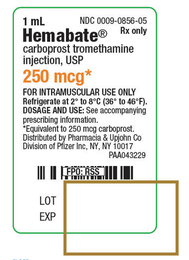 File:Carboprost2.png