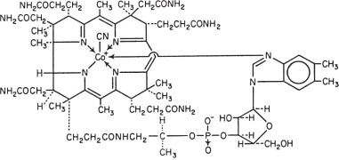 File:Cyanocobalamin structural formula.jpg