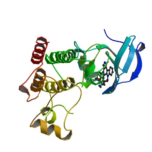 File:PBB Protein CSK image.jpg
