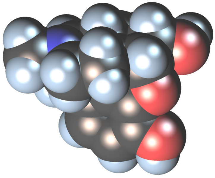 Morphine molecule space-fill model