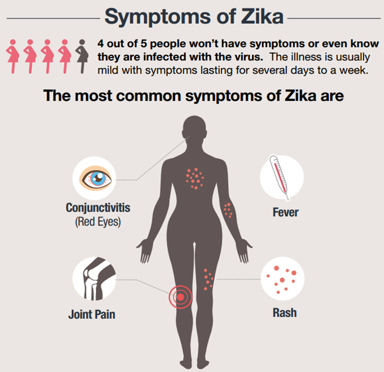 File:Zika 1.png
