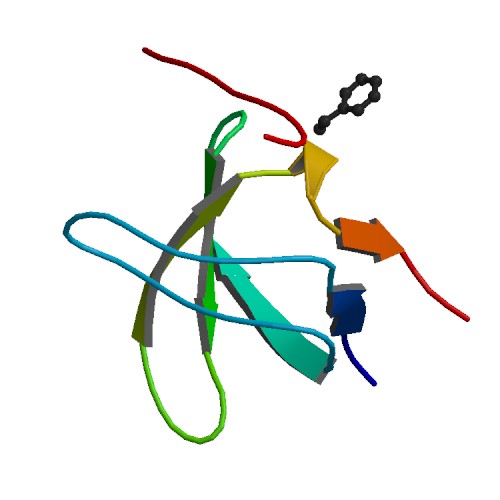File:PBB Protein CRK image.jpg