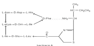 File:Bacitracin Structural Formula.png