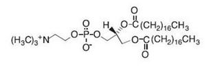 File:DAUNOXOME - daunorubicin citrate injection, lipid complex pic02.jpg