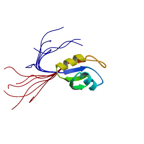 File:PBB Protein ACF image.jpg