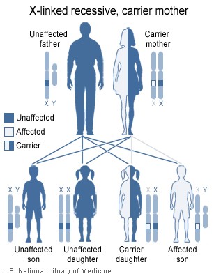 X-linked recessive inheritance: Affected boys may inherit a deletion or mutation of the STS gene from their mothers.