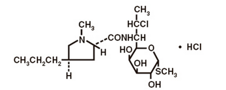 File:Clindamycin structure.png