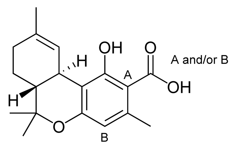 Chemical structure of delta-9-tetrahydrocannabiorcolic acid.