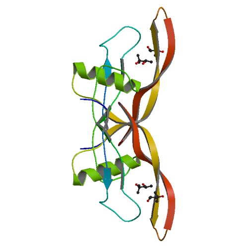 File:PBB Protein BMP4 image.jpg